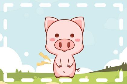 猪和猪属相配婚姻如何 猪跟猪属相婚配如何