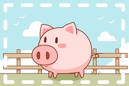 猪的运势2022每月运程 猪的运势2022运势