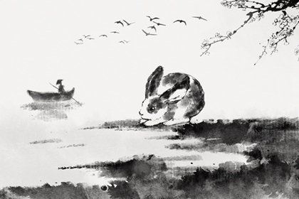 1987年12月属兔是什么命